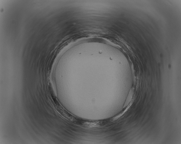 X0000084020170200703161748