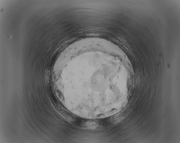 X0000084020171200703161748