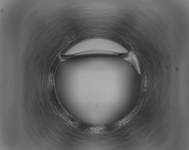 X0000084020172200703161748