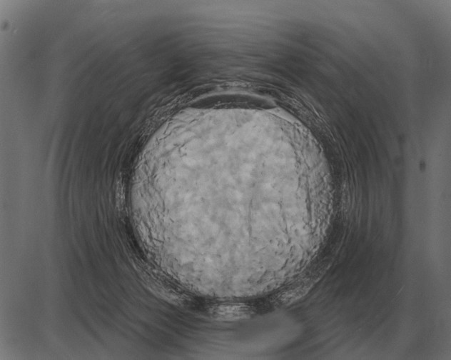 X0000084020173200703161749