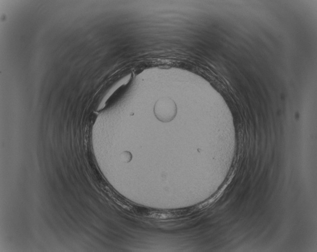 X0000084020174200703161749