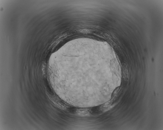 X0000084020175200703161749