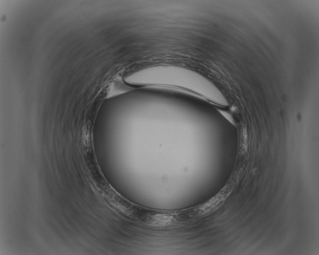 X0000084020176200703161749