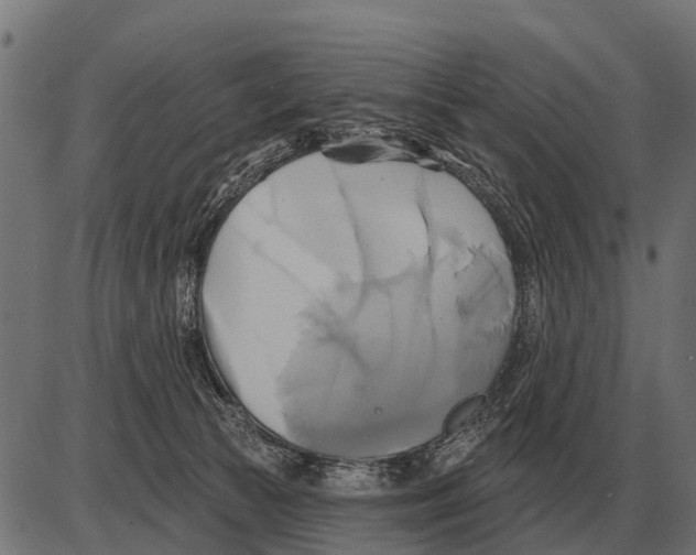 X0000084020177200703161749