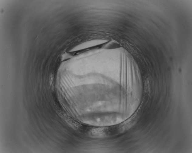 X0000084020178200703161749