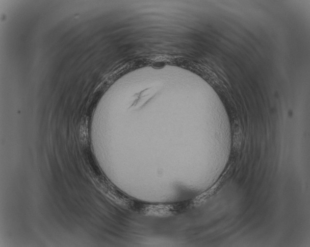 X0000084020179200703161749