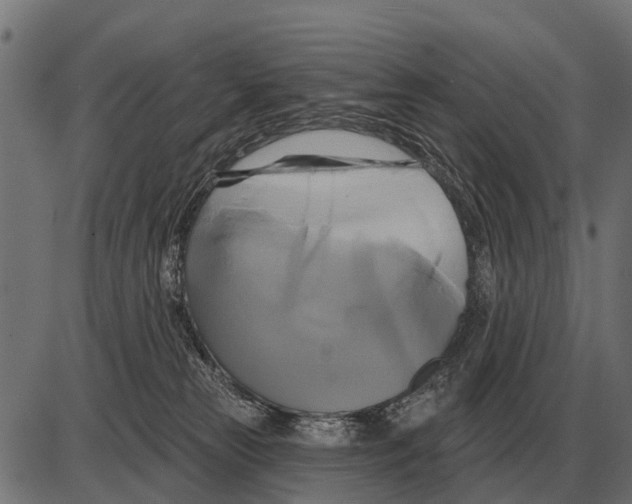 X0000084020181200703161749