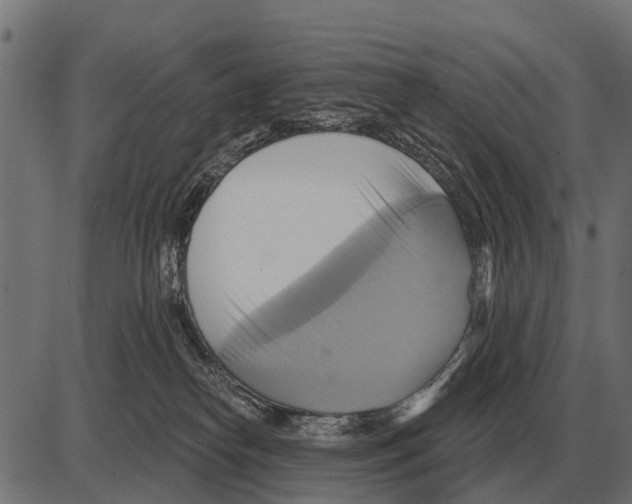 X0000084020182200703161749