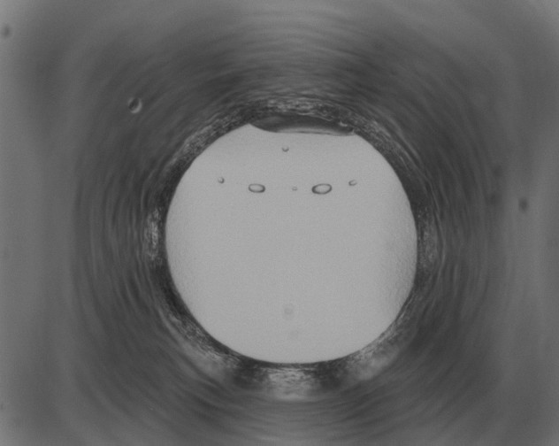 X0000084020183200703161749