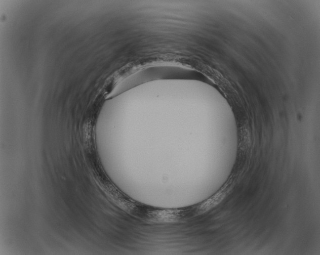 X0000084020184200703161749