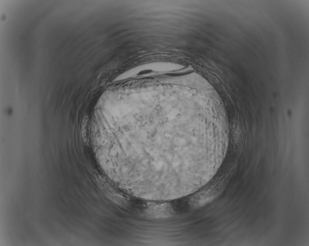 X0000084020185200703161749