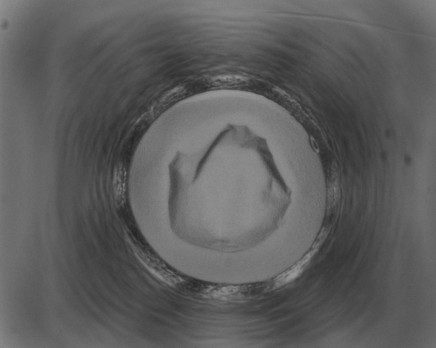 X0000084020186200703161749