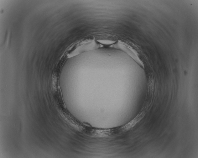 X0000084020188200703161749