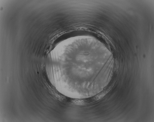 X0000084020189200703161749