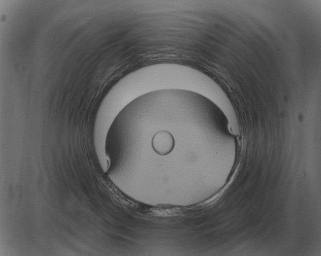 X0000084020190200703161749