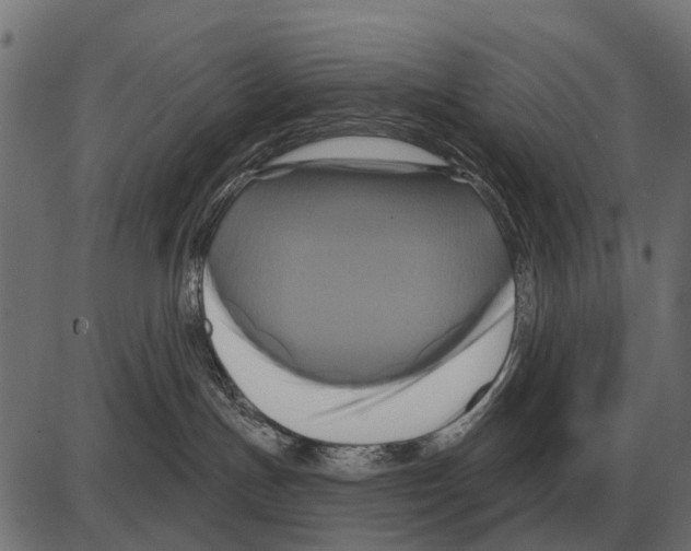 X0000084020191200703161749