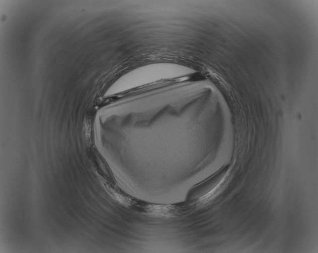 X0000084020192200703161749