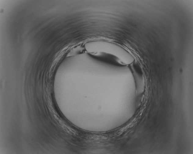 X0000084020193200703161748