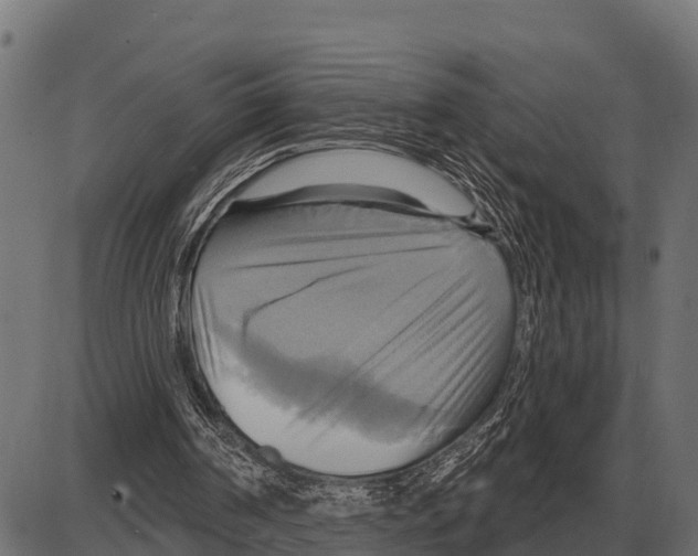 X0000084020194200703161748