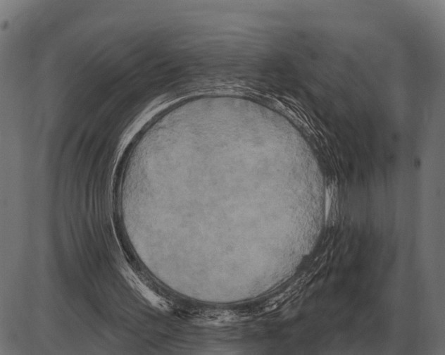 X0000084020195200703161748