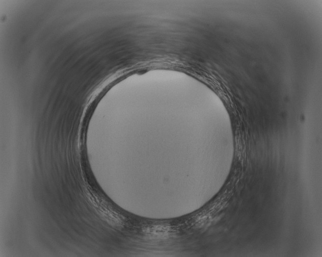 X0000084020196200703161748