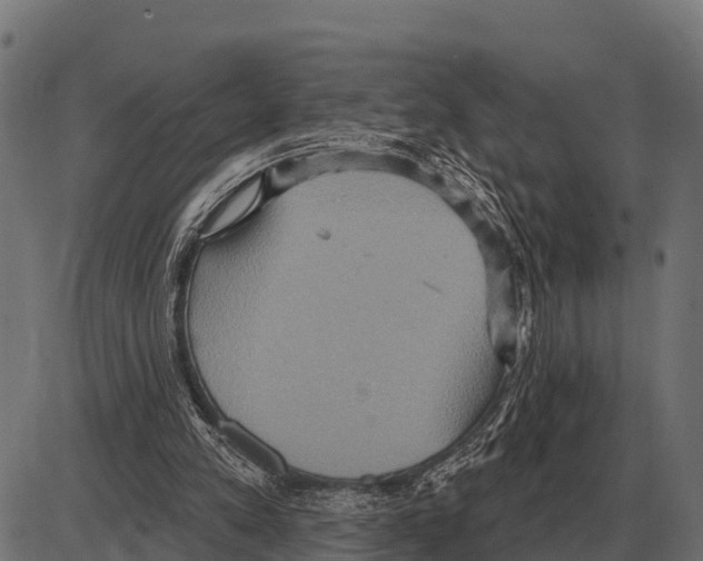 X0000084020197200703161748