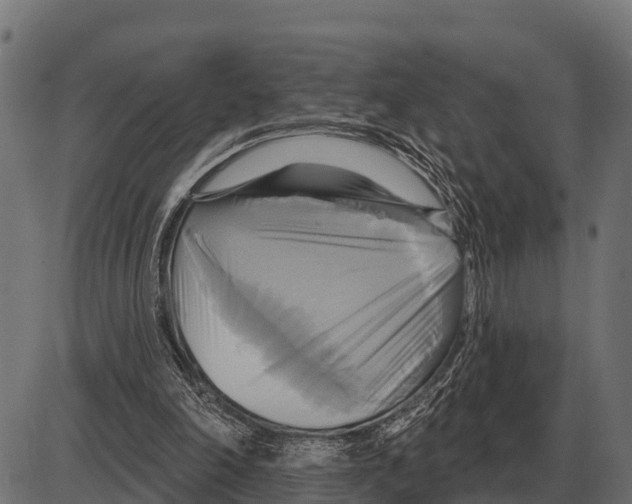 X0000084020198200703161748