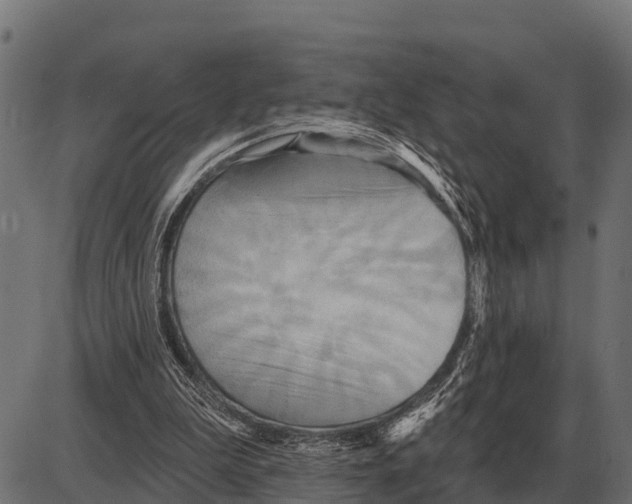 X0000084020199200703161748