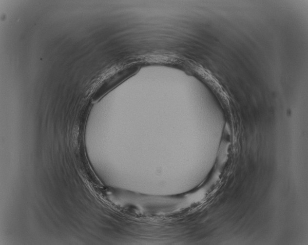 X0000084020201200703161748