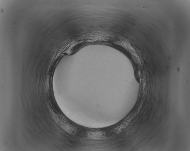 X0000084020202200703161748