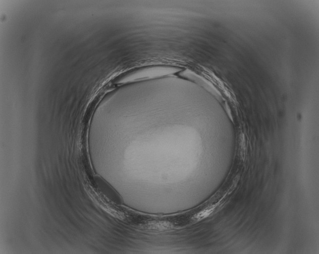 X0000084020203200703161748