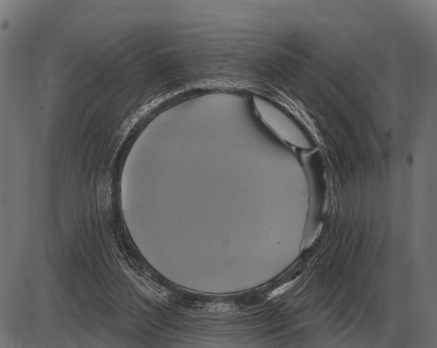 X0000084020204200703161748