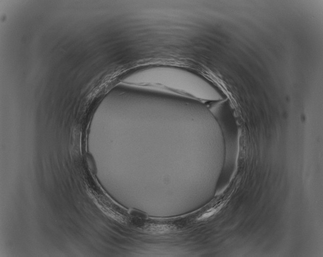 X0000084020205200703161748