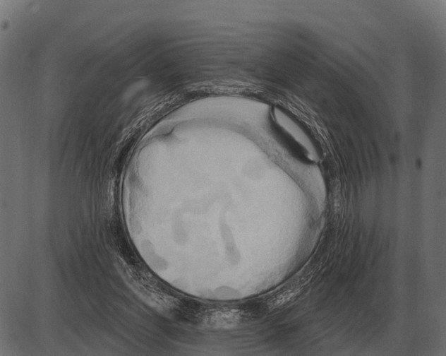 X0000084020206200703161748