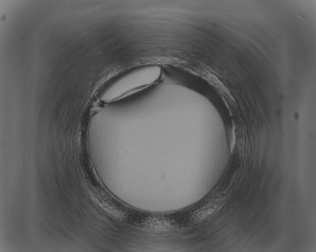 X0000084020207200703161748