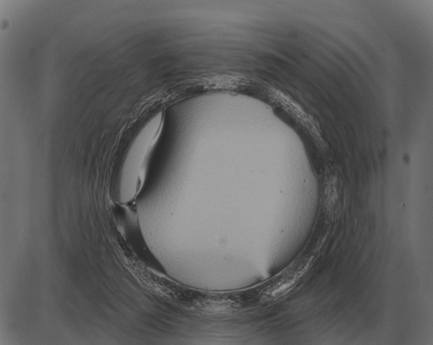 X0000084020209200703161748