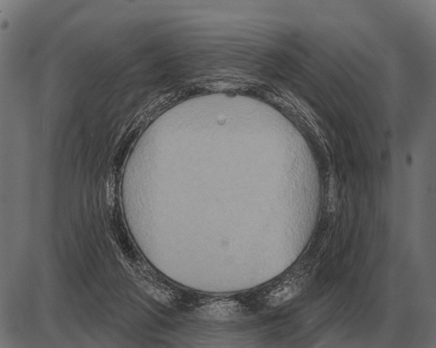 X0000084020210200703161748