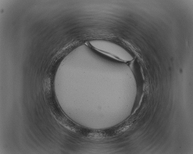 X0000084020211200703161748