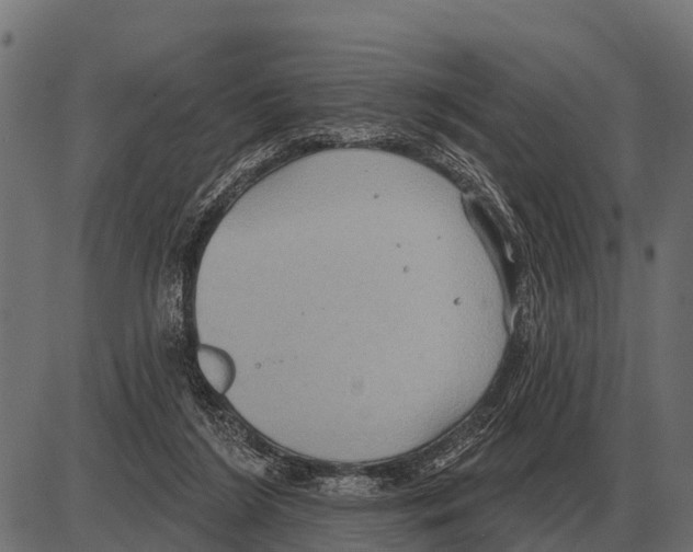 X0000084020212200703161748