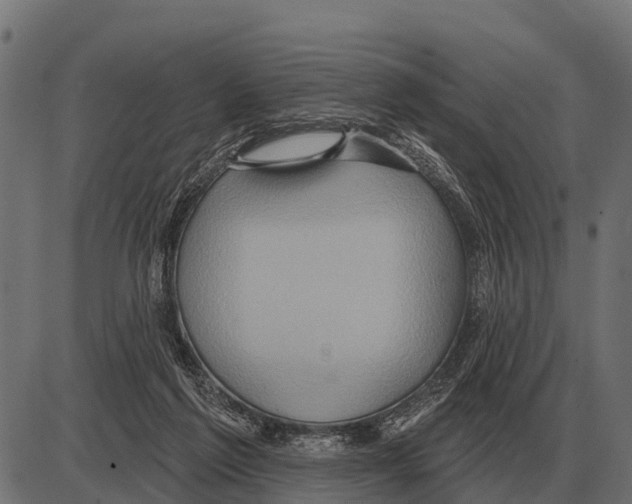 X0000084020213200703161748