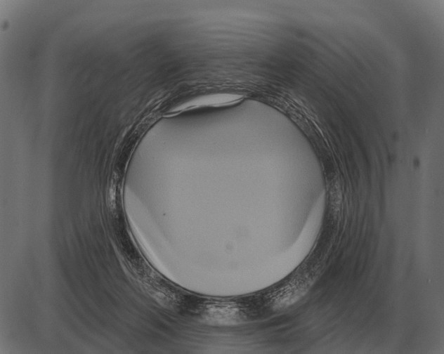 X0000084020214200703161748