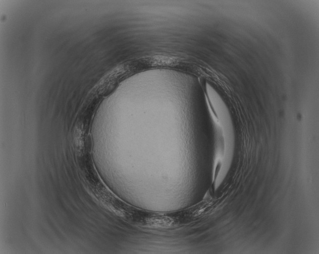 X0000084020215200703161748