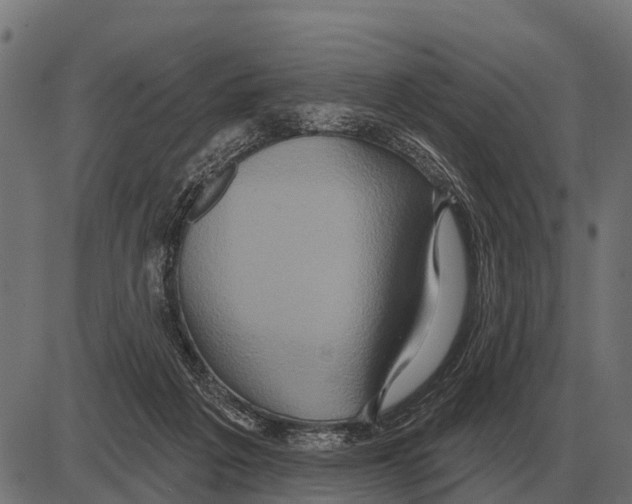 X0000084020217200703161748