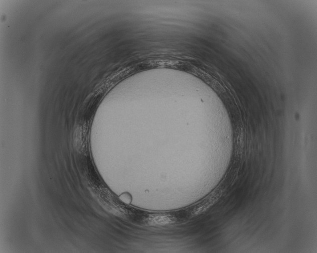 X0000084020218200703161748