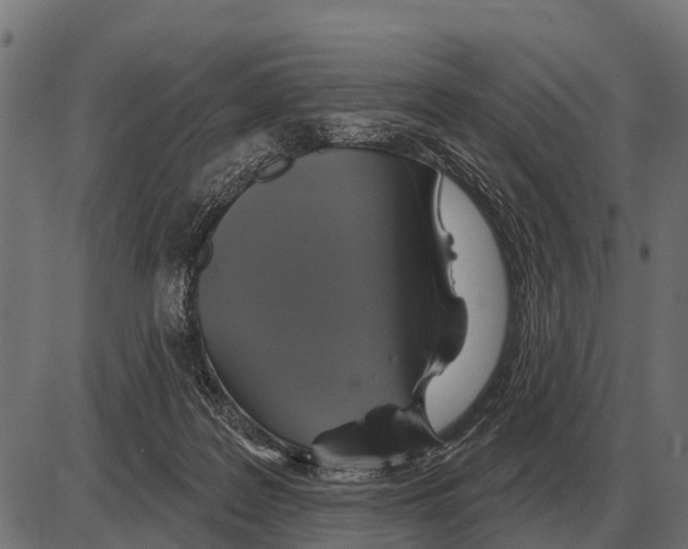 X0000084020219200703161748