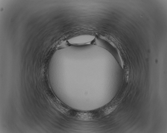 X0000084020221200703161748