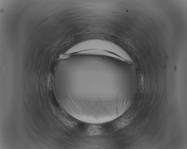 X0000084020222200703161748