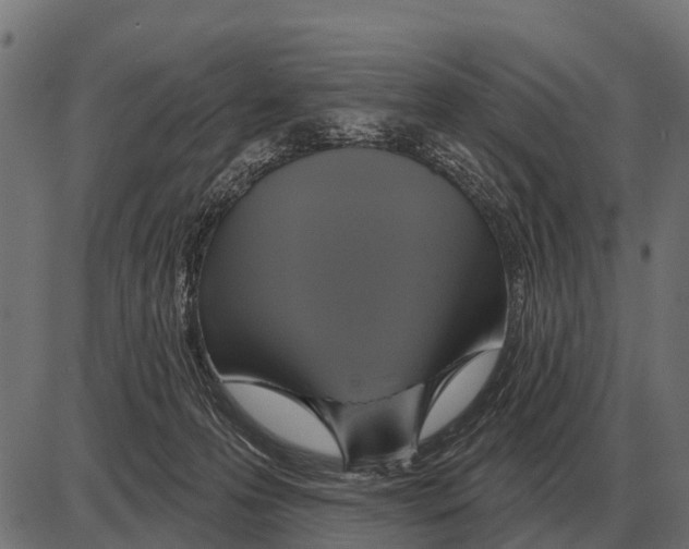 X0000084020223200703161748