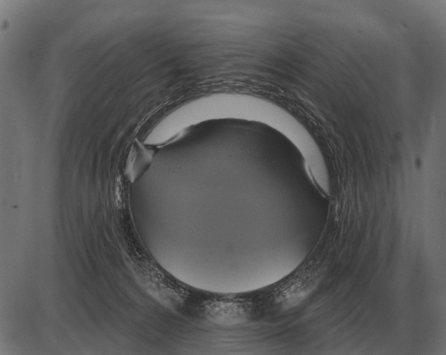 X0000084020224200703161748