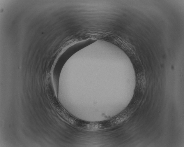 X0000084020225200703161747